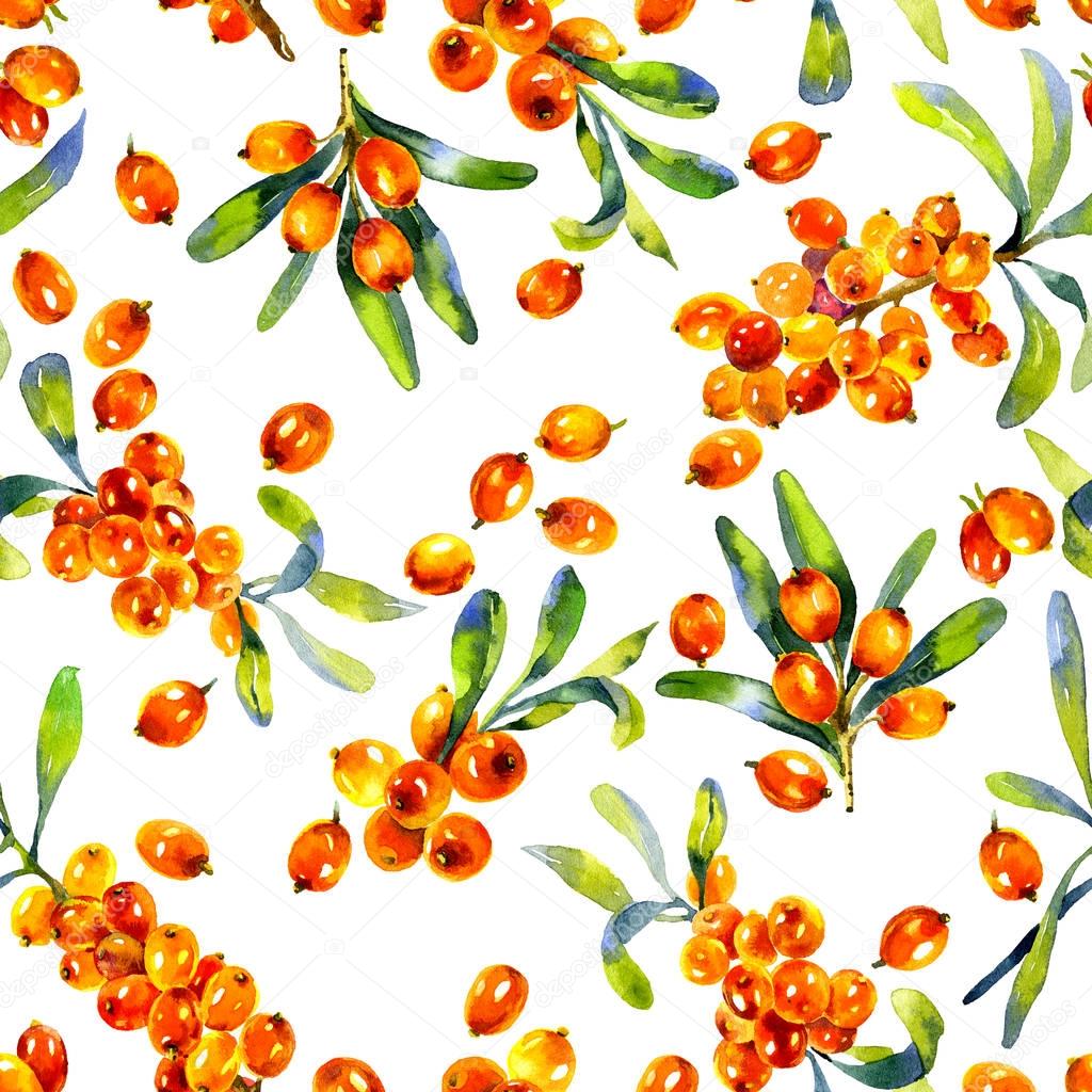 Orange, tasty, ripe, healthy sea-buckthorn. Garden, yellow, mouth-watering berries. Watercolor. Illustration