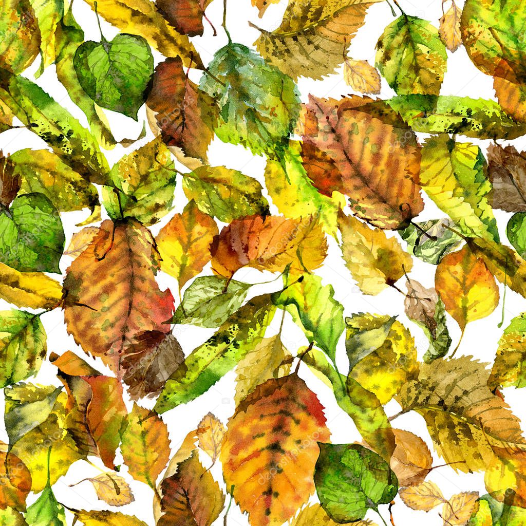 Rotten, autumnal, seasonal, warm, fragrant, rotten, fallen leaves. Indian summer in autumn. Watercolor. Illustration