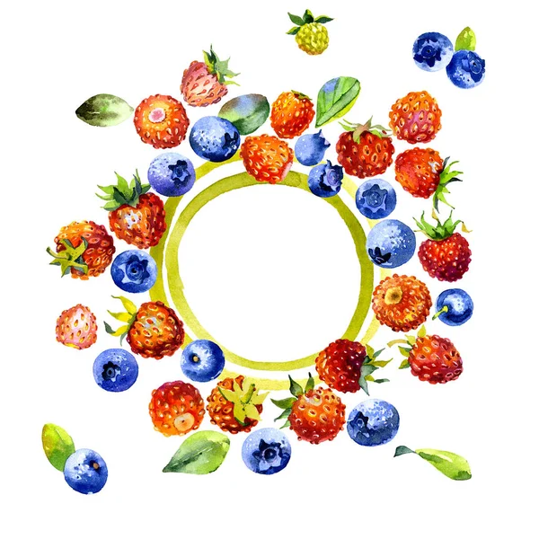 God, saftig, användbar, skog, äng, fält, ljusa bär. Röda jordgubbar. Blåbär blå. Orange hjortron. Akvarell. Illustration — Stockfoto