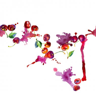 İştah açıcı, lezzetli, sulu, kırmızı kiraz. Orman, Bahçe, Sonbahar, mevsim berry. Bir zengin, sulu, yaz hasat. Komposto, meyve suyu, reçel damlaları. Suluboya. İllüstrasyon