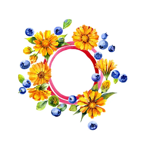 Sebuah wangi, berguna, bunga obat dari kalender. Musim panas, musiman tanaman. Lezat, berguna, blueberry manis. Warna air. Ilustrasi Stok Foto Bebas Royalti