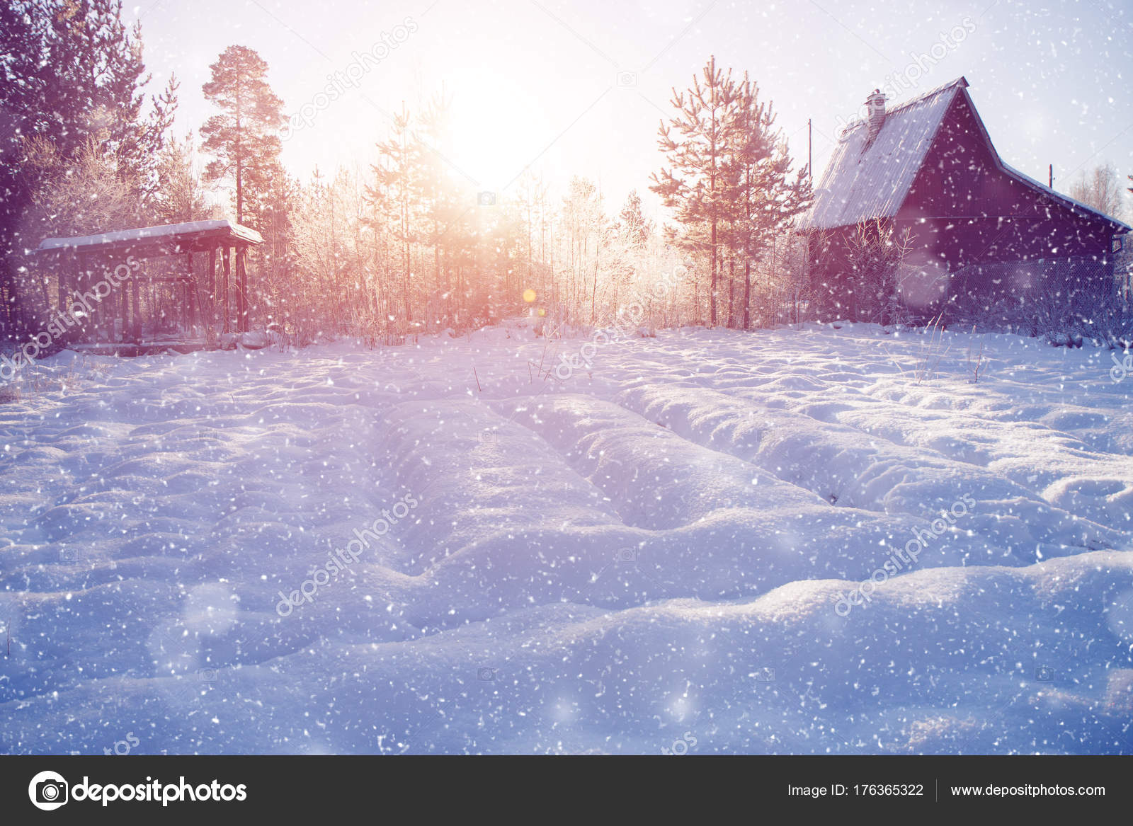 Winter Wonderland Scene Background Landscape Trees Forest In Stock Photo Image By C Miramiska 176365322