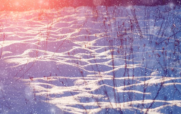 Inverno paese delle meraviglie scena sfondo, paesaggio. Alberi, foresta in — Foto Stock