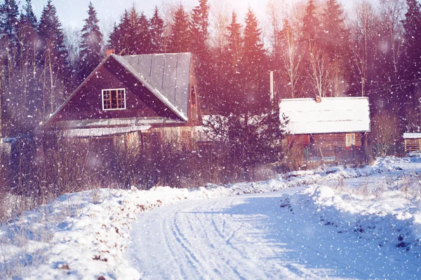 Inverno paese delle meraviglie scena sfondo, paesaggio. Alberi, foresta in — Foto Stock