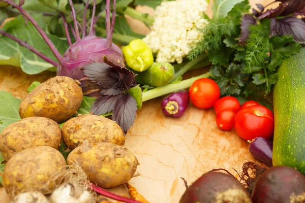 Harvest of fresh vegetables on a wooden background, in garden background. Top view. Garlic, beet, zucchini, kohlrabi, cauliflower, pepper, tomatoes, potatoes, basil, cucumber, dill. — Stock Image Harvest Fresh Vegetables Wooden Background Garden Background Top View Garlic Royalty Free Stock Images