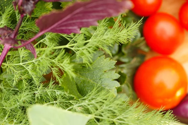 Ernte Von Frischem Gemüse Auf Einem Hölzernen Hintergrund Garten Ansicht — Stockfoto