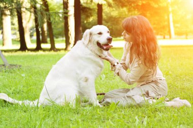 Köpek eğitim. Kız parkta oynarken geri almak. A evde beslenen hayvan bir arka plan üzerinde yürüyen kadın manzara yaz. Neşeli yaz sahneleri