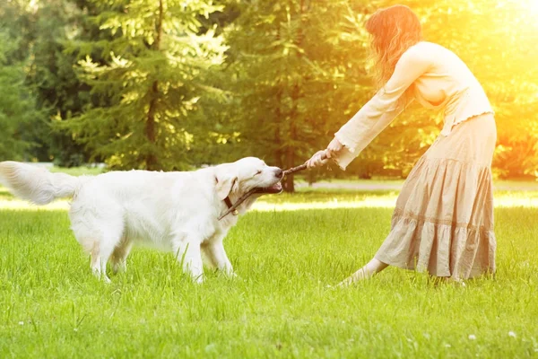 Szkolenia Psów Dziewczyna Retriever Grając Parku Kobieta Spaceru Zwierzaka Tle — Zdjęcie stockowe