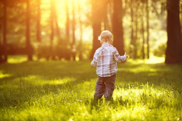 Enfant Coucher Soleil Contre Jour Gamin Dans Prairie Parc Bébé — Photo
