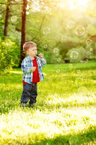 日落时的孩子 小孩在公园的草地上 夏天的背景下的婴儿 夏天的场景 玩肥皂泡的孩子 — 图库照片