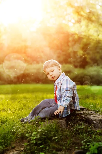 Ein Kind Bei Sonnenuntergang Gegenlicht Kind Auf Der Wiese Park — Stockfoto