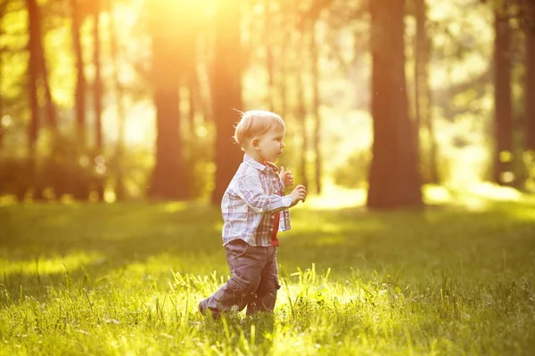 Bambino Tramonto Retroilluminazione Ragazzo Sul Prato Nel Parco Bambino Sullo Immagine Stock