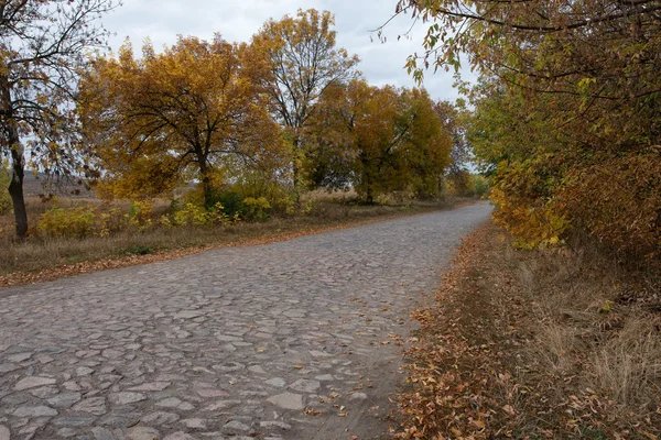 Stone manier leidt tot dorp in de buurt van het veld — Stockfoto