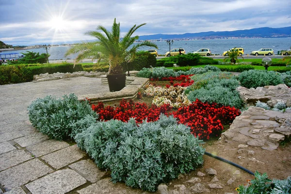 La costa della Bulgaria. Parchi, argine . — Foto Stock