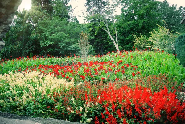 Pintorescos parques de Bulgaria. Muchos tipos de vegetación — Foto de Stock