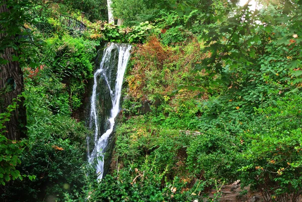 ブルガリアの美しい公園があります。植物の多くの種類 — ストック写真