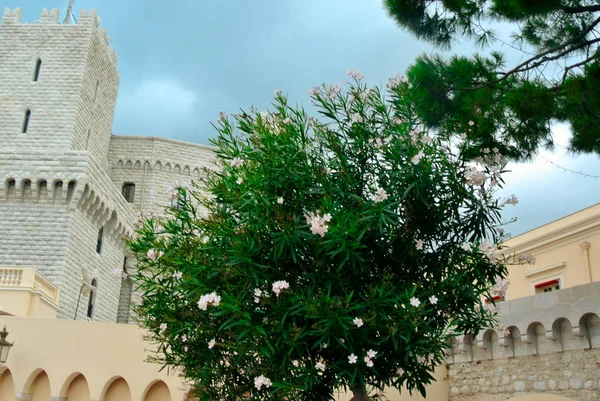 Palacio del Príncipe de Mónaco — Foto de Stock