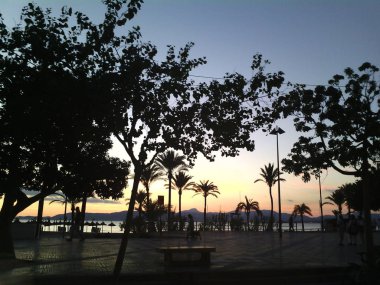 Palmiye ağaçları ile İspanyol Plajı