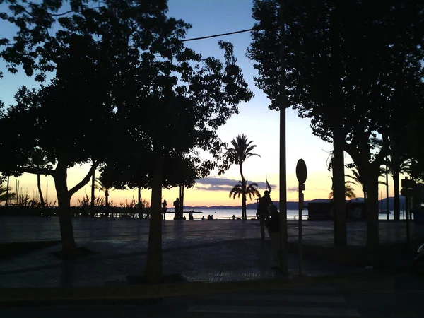 Spanish beach with palm trees — Stock Photo, Image