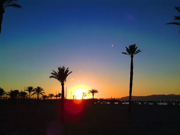 Hiszpańska plaża z palmami — Zdjęcie stockowe
