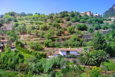 güneşli bir günde İspanya güzel doğa