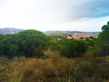 güneşli bir günde İspanya güzel doğa