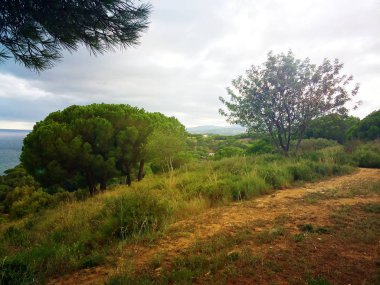 güneşli bir günde İspanya güzel doğa