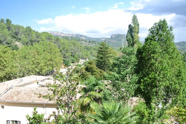 güneşli bir günde İspanya güzel doğa