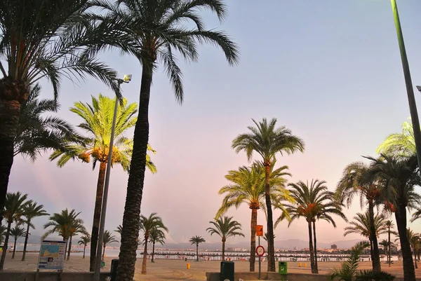 ünlü pitoresk sahil Katalonya. İspanya