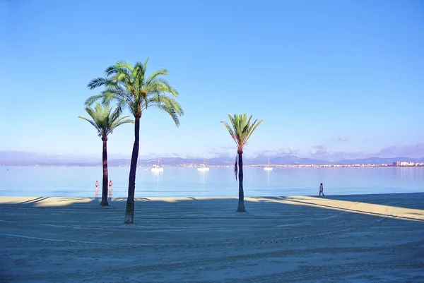 카탈로니아의 인기 있는 해변 스페인 — 스톡 사진
