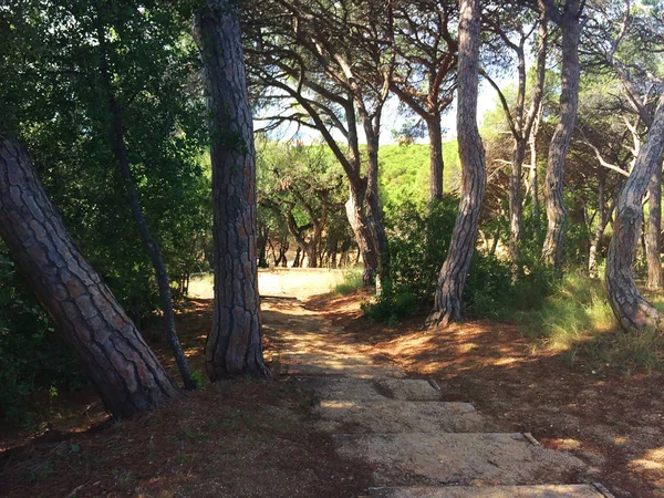 güneşli bir günde İspanya güzel doğa