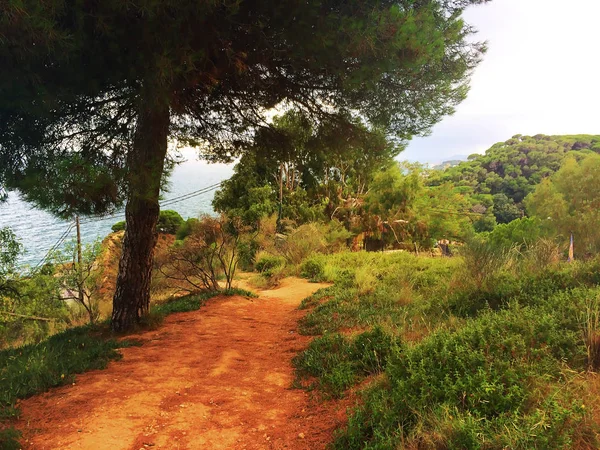 güneşli bir günde İspanya güzel doğa