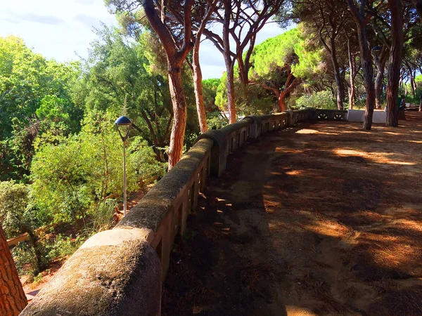 güneşli bir günde İspanya güzel doğa