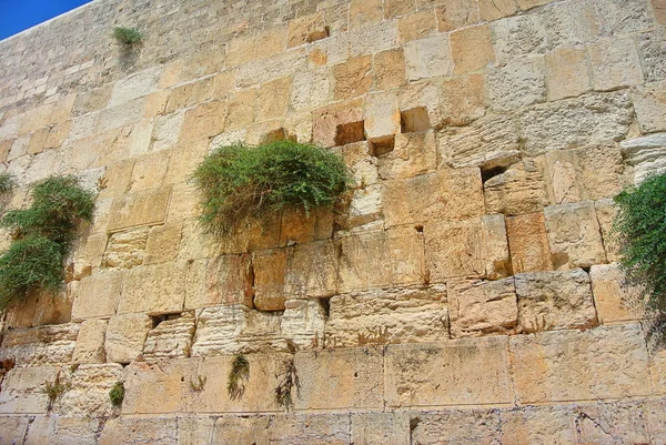 Western Wall Kudüs Tapınağı'nın görünümü. Duvar gözyaşı. İsrail — Stok fotoğraf