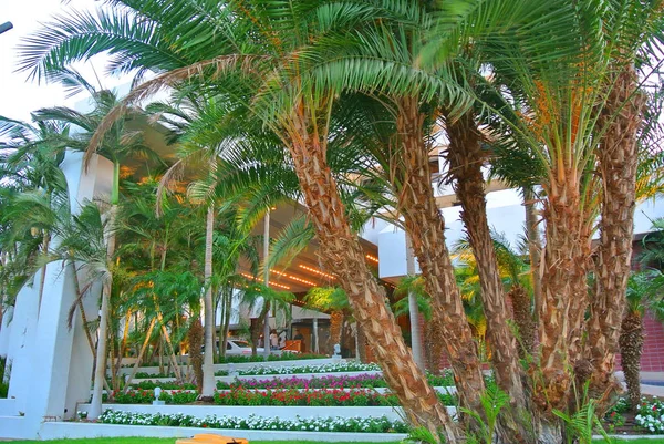 Eilat. İsrail. Aqaba Körfezi 'nin kıyısı