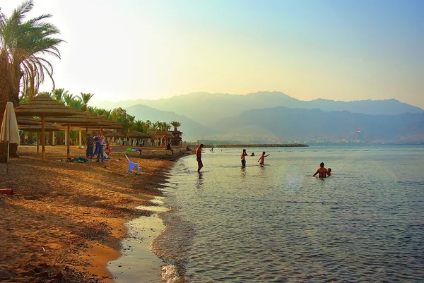 Kızıldeniz. Eilat. İsrail. Aqaba Körfezi 'nin kıyısı