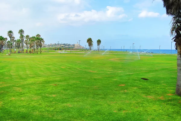 Parques en el paseo marítimo de Tel Aviv. La costa de Israel —  Fotos de Stock