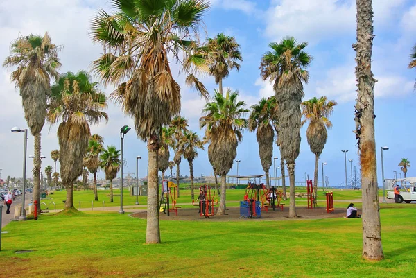 Parchi sul lungomare di Tel Aviv. La costa di Israele — Foto Stock