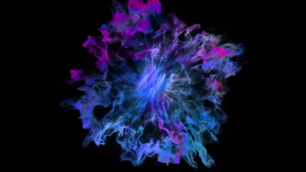 Shockwave Video Shockwave Video