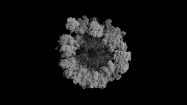 の煙爆発衝撃波の効果と黒の背景上に分離されて発散の波 抽象煙爆発アニメーション 上からトップのカメラ ビュー — ストック動画