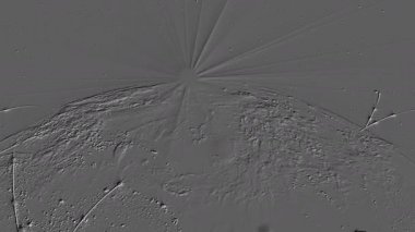 Uçakta üç boyutlu ekstrüzyon temel 3d işleme arka plan. Sunular için arka plan. Animasyon kağıt doku