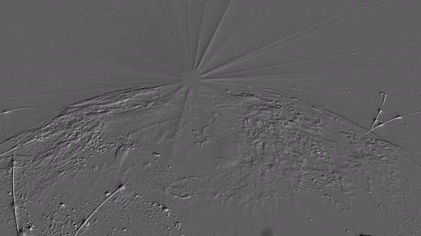 Rendering Achtergrond Gebaseerd Driedimensionale Extrusie Het Vliegtuig Achtergrond Voor Presentaties — Stockvideo