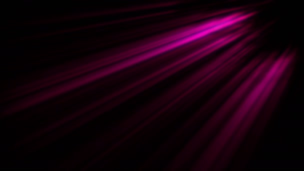 Rayons volumétriques de lumière brillants d'en haut pénètrent à travers le voile aéré épais, provoquant un beau rideau d'air de la lumière volumétrique. Bouclée 