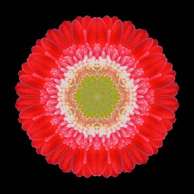 Siyah izole kırmızı çiçek Mandala Kaleidoscope