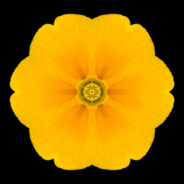 Gelbe Blume Mandala Kaleidoskop isoliert auf schwarz — Stockfoto