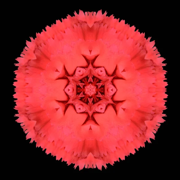 Caleidoscopio Mandala fiore rosso isolato su nero — Foto Stock