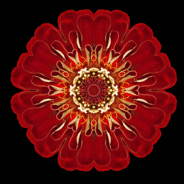 Caleidoscopio de Mandala de flor roja aislado en negro —  Fotos de Stock