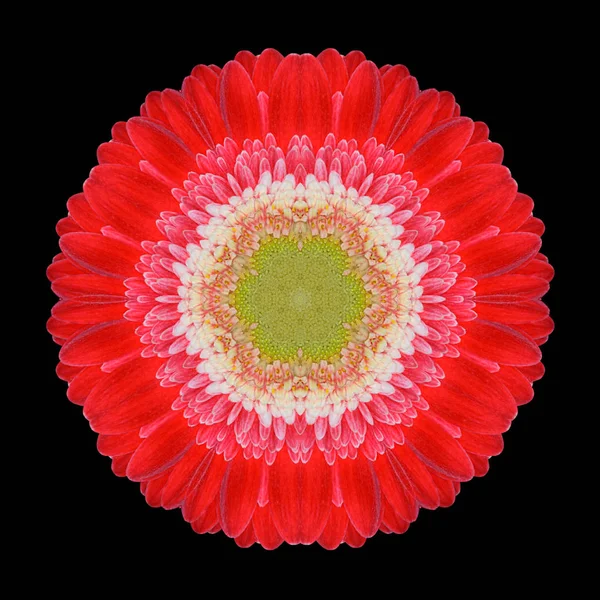 Caleidoscopio Mandala fiore rosso isolato su nero — Foto Stock