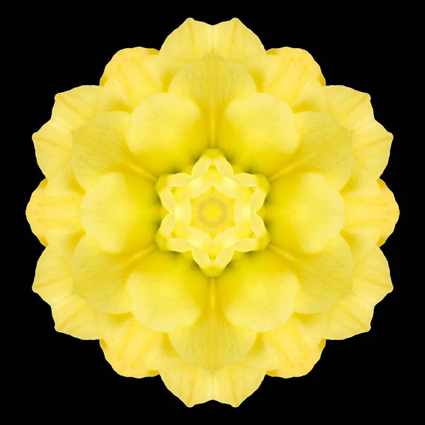 Yellow Flower Mandala Kaleidoscope Isolated on Black — Stock Photo, Image