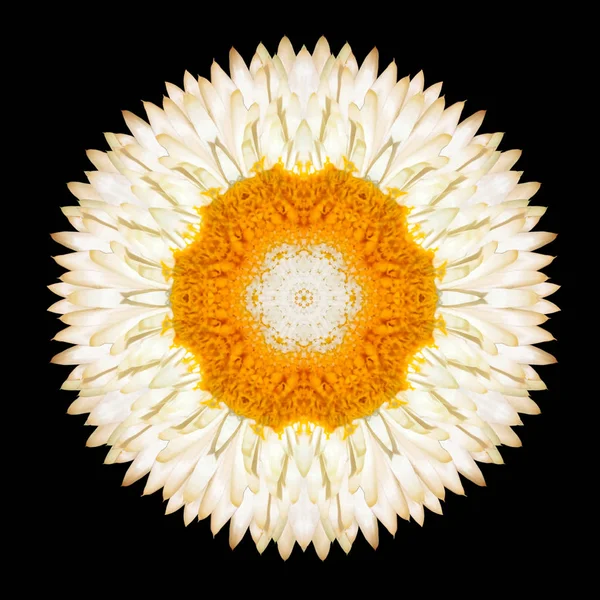 Caleidoscópio Mandala Flor Branca Isolado em Preto — Fotografia de Stock